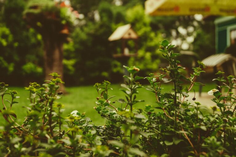 Palliative Care in Billingshurst, West Sussex