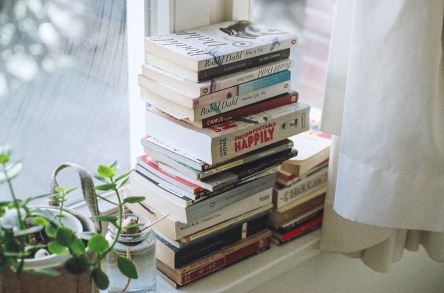Stack of books on a window sill with a plant