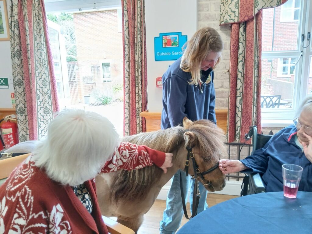 derwent lodge activities