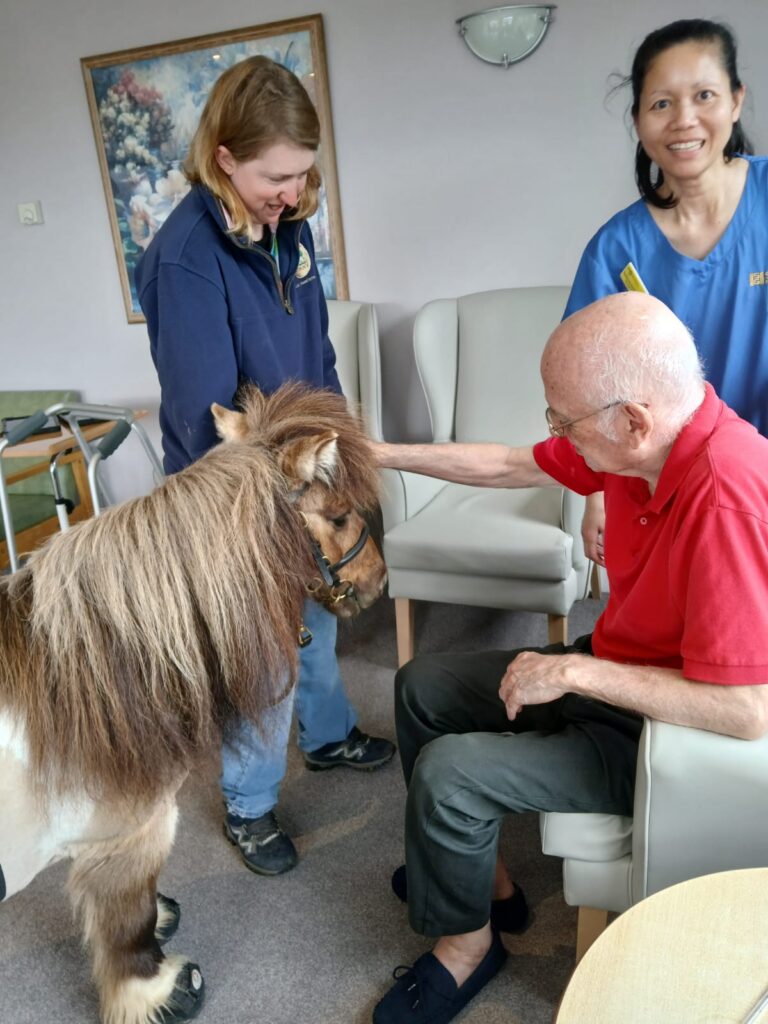 derwent lodge residents with pony