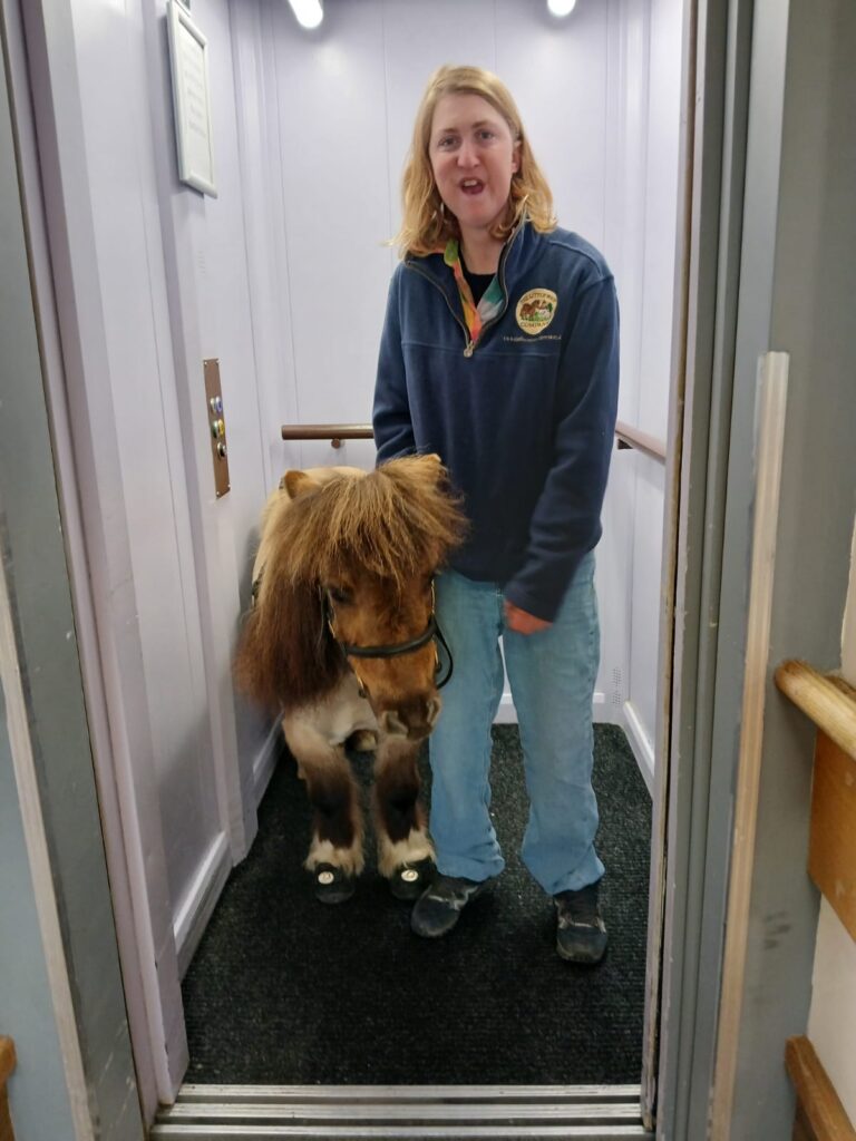 little hoof company visits derwent