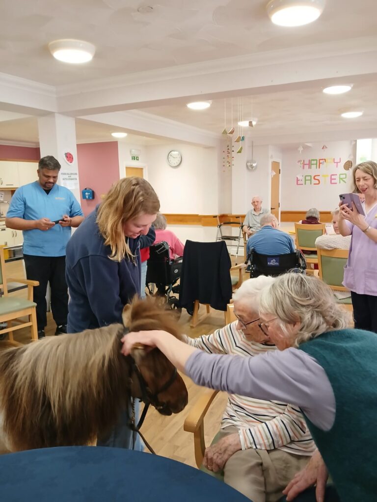 pony visits care home